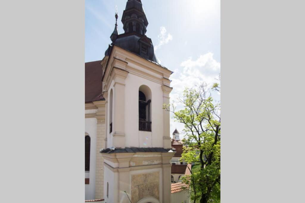Private Sauna & 4 Bedrooms Old Town Rooftop Apartment Вильнюс Экстерьер фото