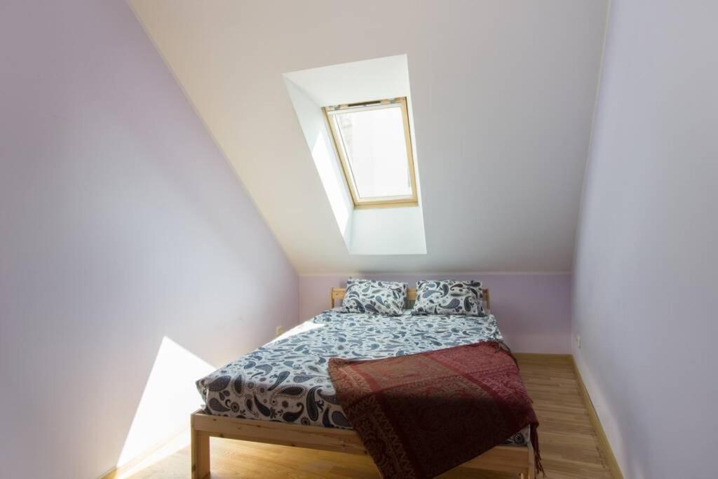 Private Sauna & 4 Bedrooms Old Town Rooftop Apartment Вильнюс Экстерьер фото