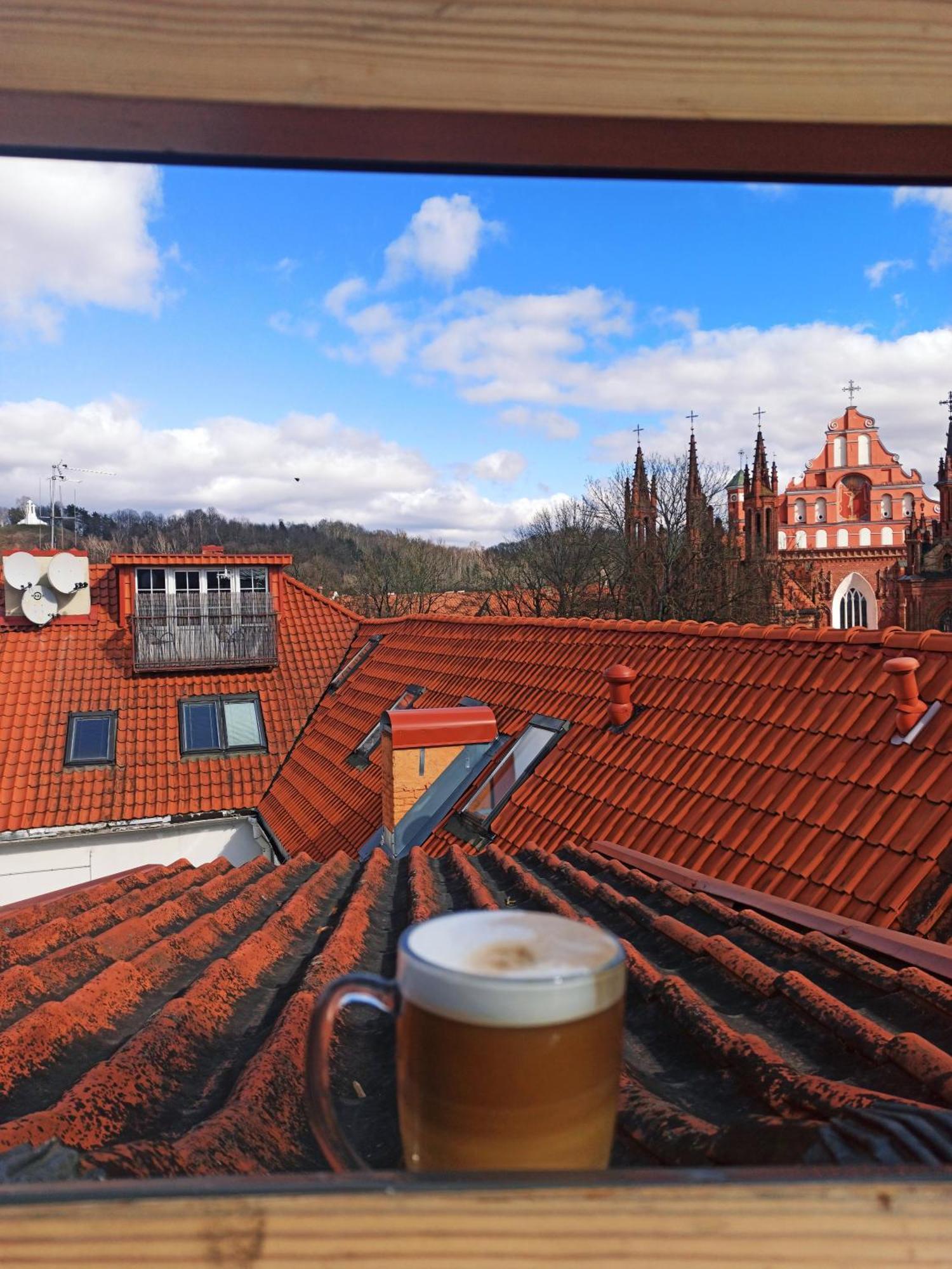 Private Sauna & 4 Bedrooms Old Town Rooftop Apartment Вильнюс Экстерьер фото